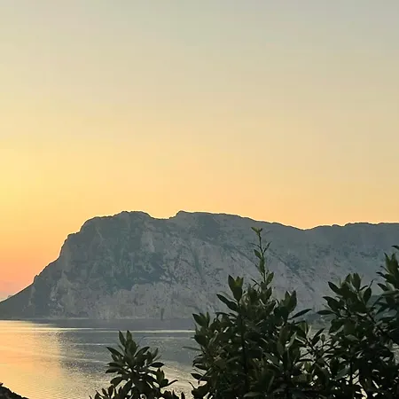 Апартаменты Punta Est Monolocale Vista Mare Капо-Кода-Кавальо