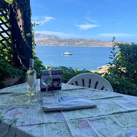 Punta Est Monolocale Vista Mare Lägenhet