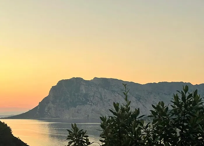 Διαμέρισμα Punta Est Monolocale Vista Mare Capo Coda Cavallo